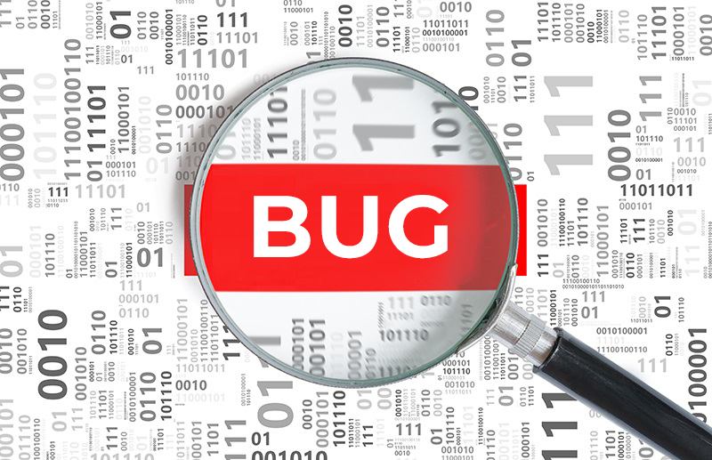 Bug Bounty Program